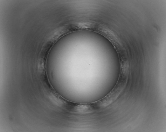 X0000110700418200906121338