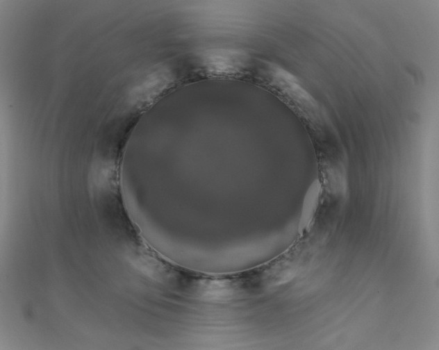 X0000110700419200906121338