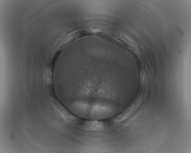 X0000110700421200906121338
