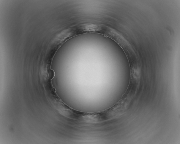 X0000110700422200906121338