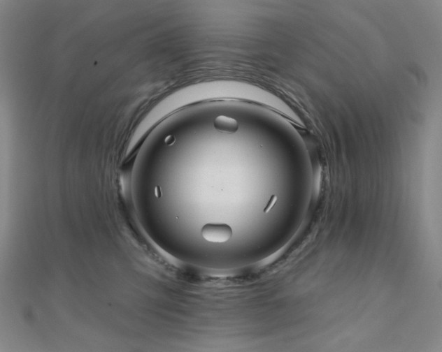 X0000110700423200906121338