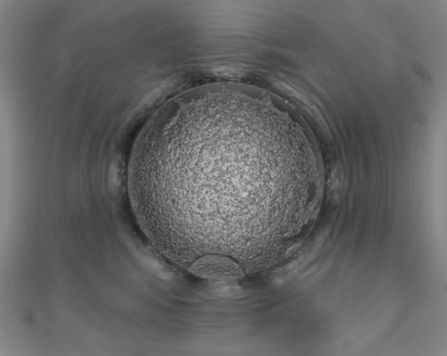 X0000110700424200906121338
