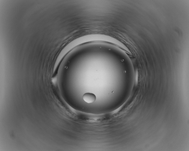 X0000110700425200906121337