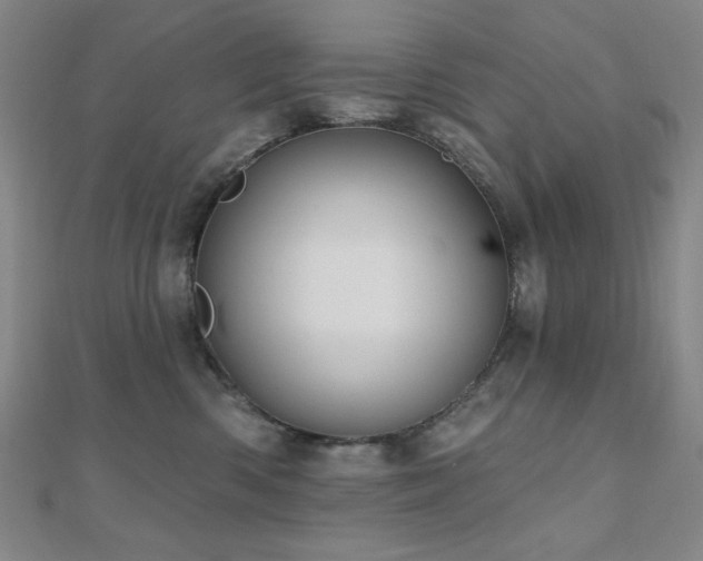 X0000110700426200906121337
