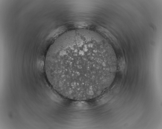 X0000110700427200906121337