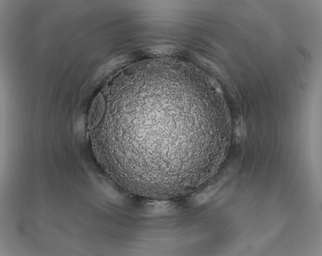 X0000110700428200906121337