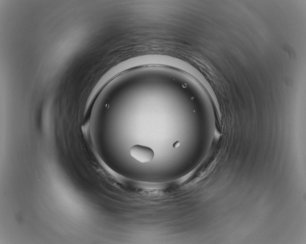 X0000110700429200906121337