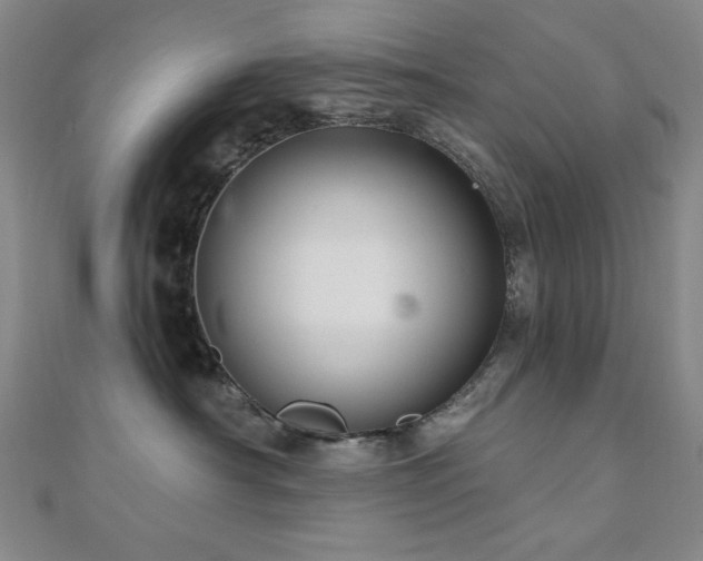 X0000110700430200906121337