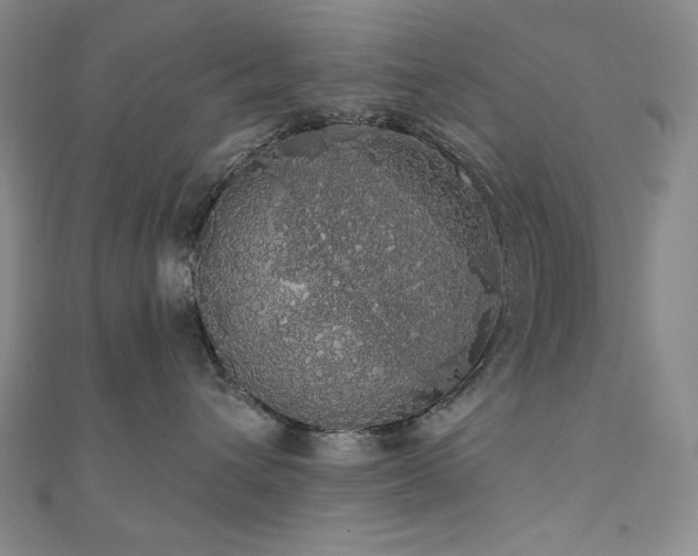 X0000110700432200906121337