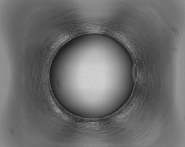 X0000110700433200906121337