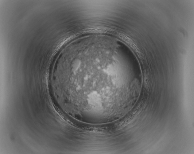 X0000110700434200906121337
