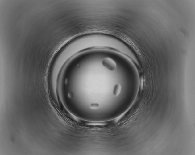 X0000110700436200906121337