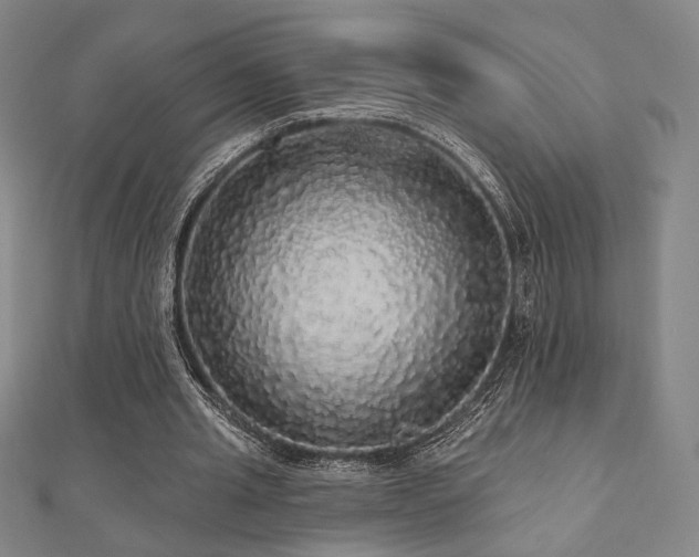 X0000110700437200906121337