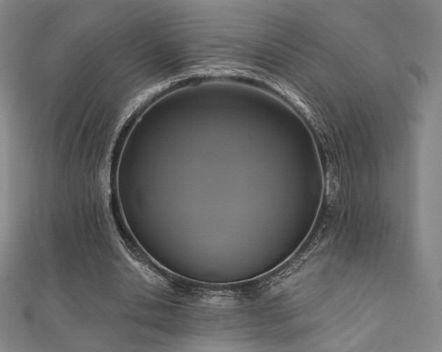 X0000110700438200906121337