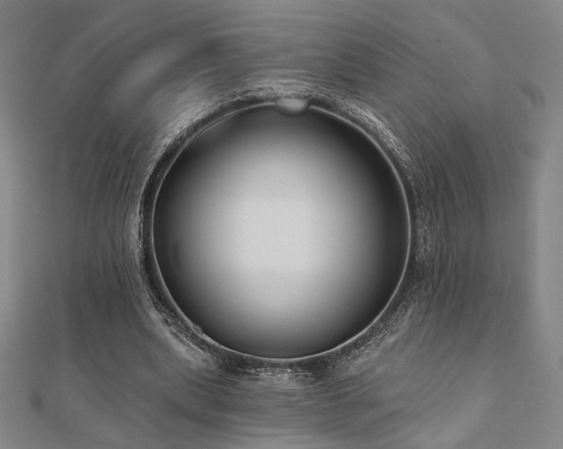 X0000110700439200906121337