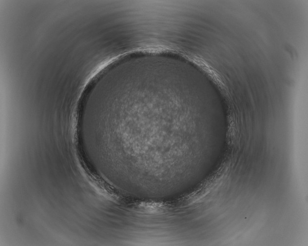 X0000110700440200906121337