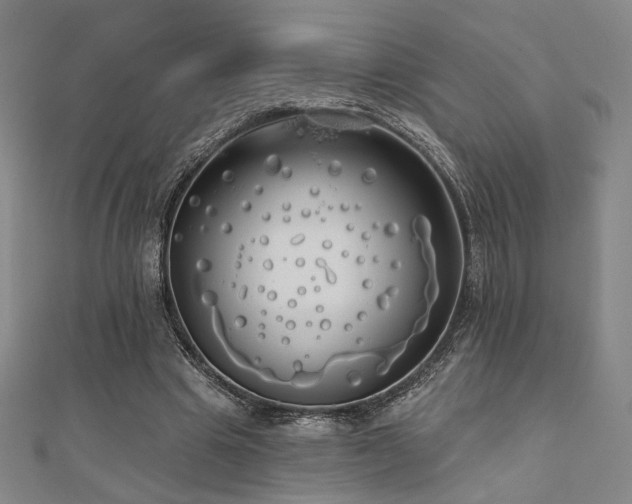 X0000110700441200906121337