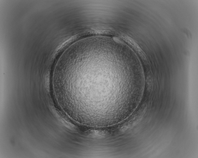 X0000110700442200906121337
