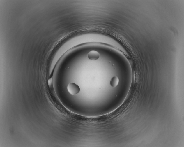 X0000110700444200906121337