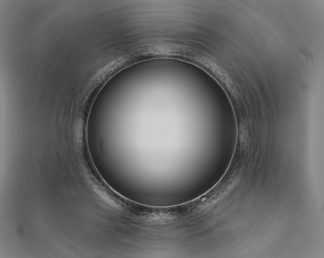 X0000110700445200906121337