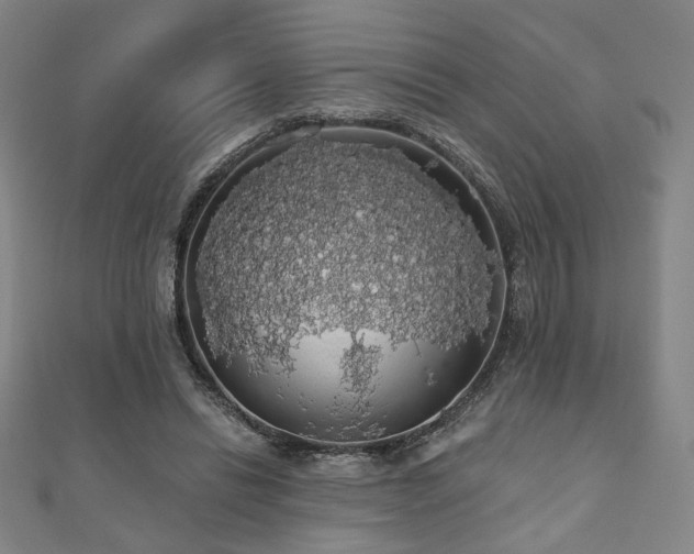 X0000110700446200906121337