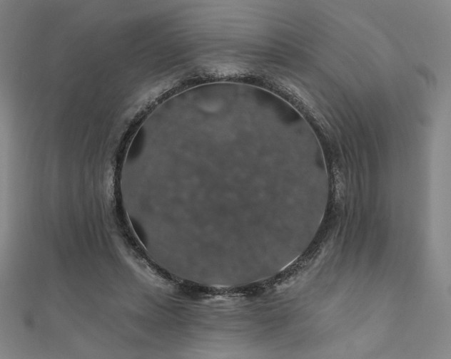 X0000110700447200906121337