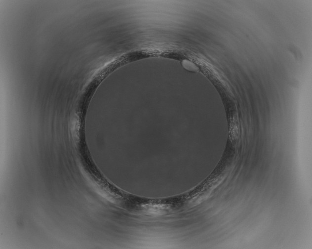 X0000110700448200906121337