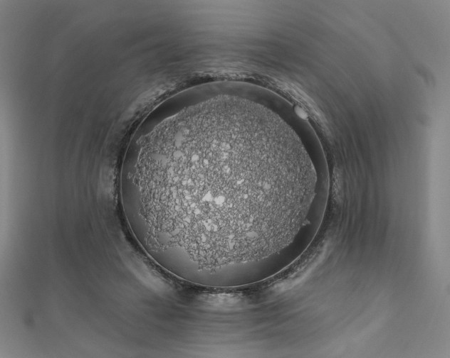 X0000110700449200906121337