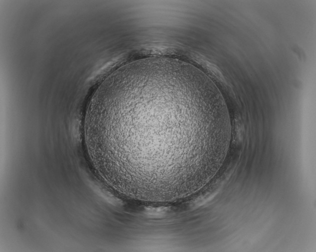 X0000110700450200906121337