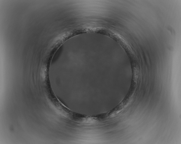 X0000110700451200906121337