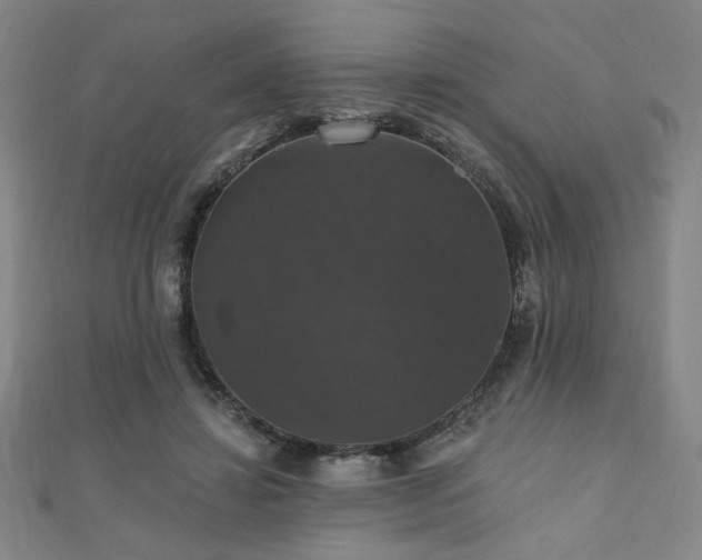 X0000110700452200906121337