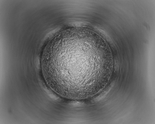 X0000110700453200906121337