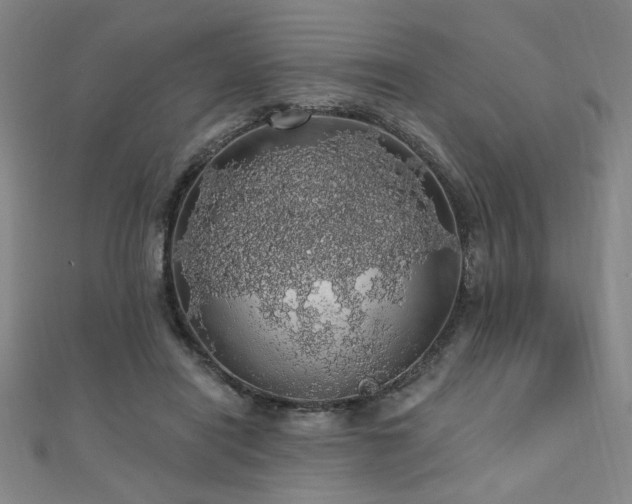 X0000110700454200906121337