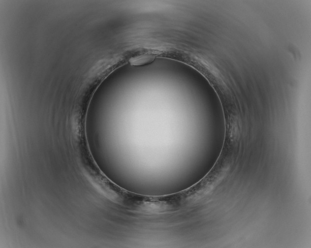 X0000110700455200906121337