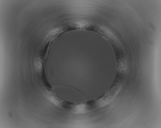 X0000110700456200906121337