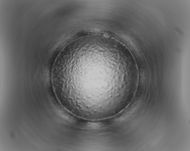 X0000110700457200906121337