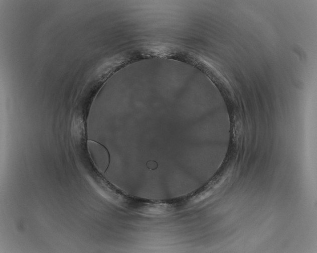 X0000110700459200906121337