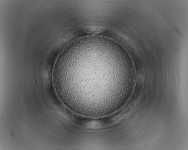 X0000110700460200906121337