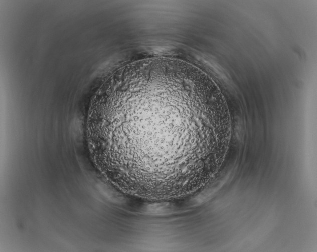 X0000110700461200906121337