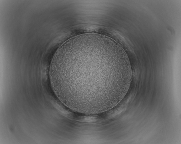 X0000110700462200906121337