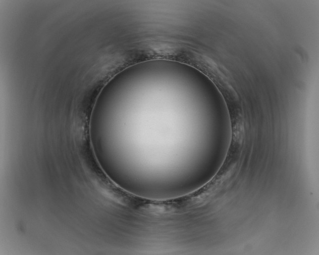 X0000110700464200906121337