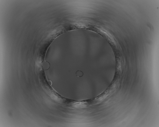 X0000110700465200906121337