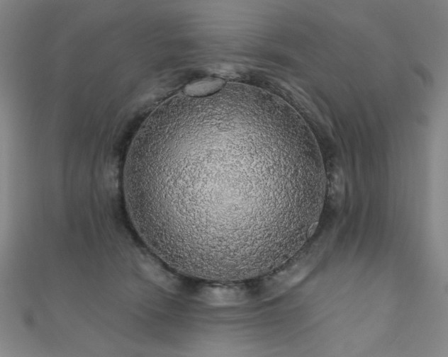 X0000110700466200906121337