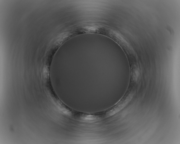 X0000110700467200906121337