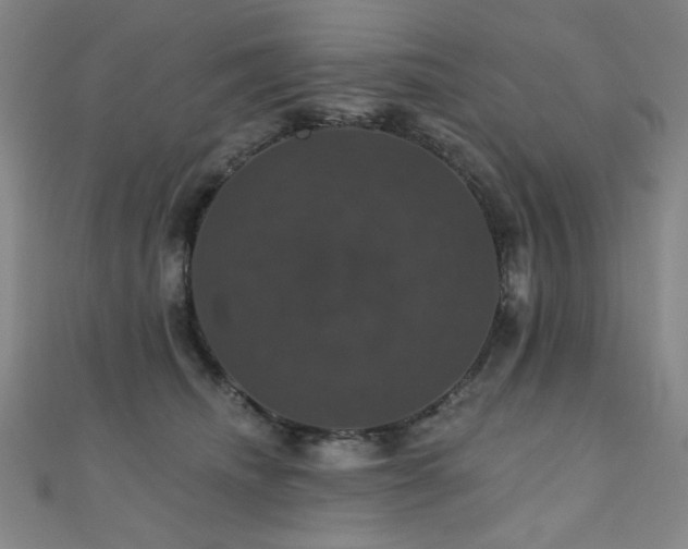 X0000110700468200906121337