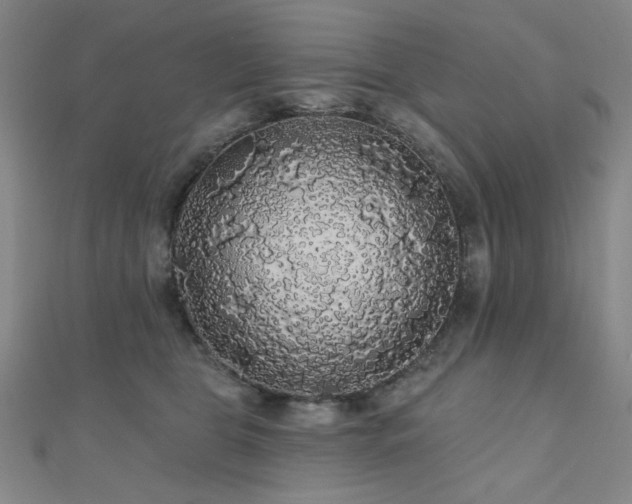 X0000110700469200906121337