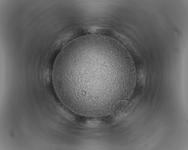 X0000110700470200906121337