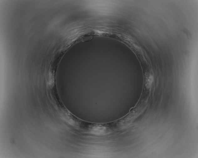 X0000110700471200906121337