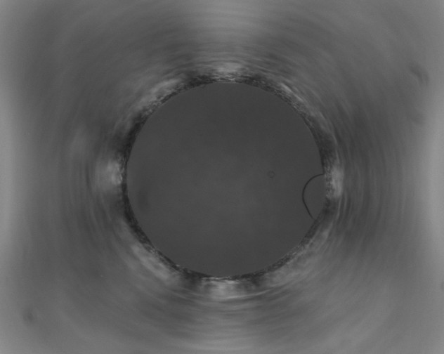 X0000110700472200906121337