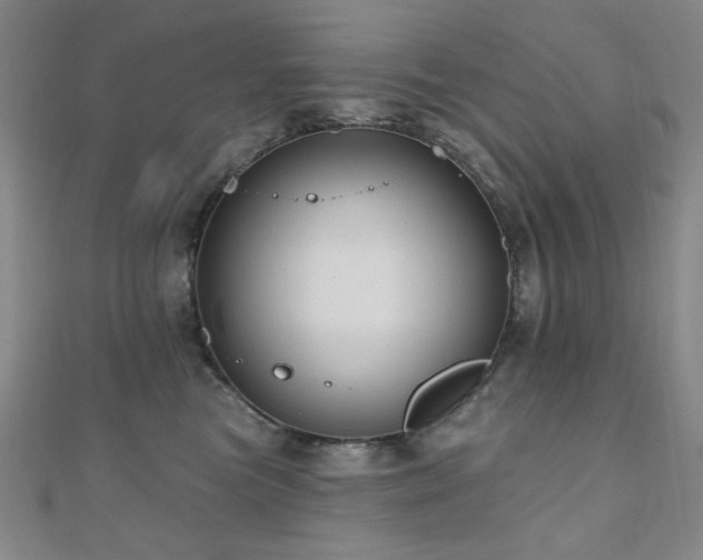 X0000110700473200906121337